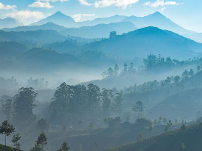 凯时KB88·(中国区)官方网站